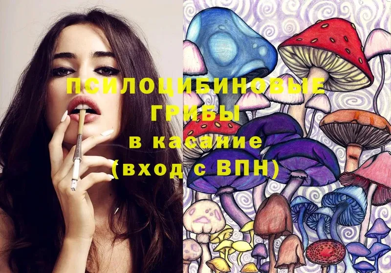 Псилоцибиновые грибы Psilocybe  цены наркотик  Десногорск 